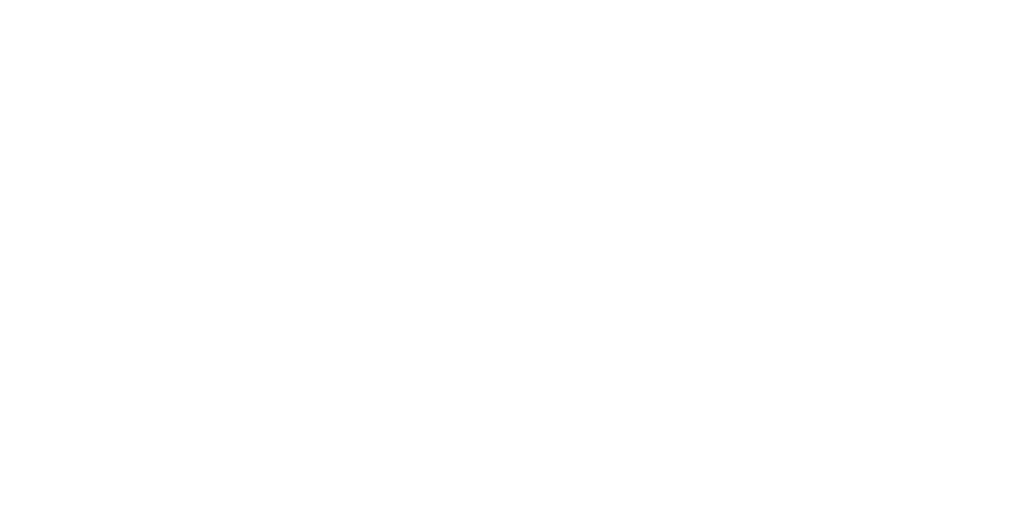 BAVE US Entry Platform