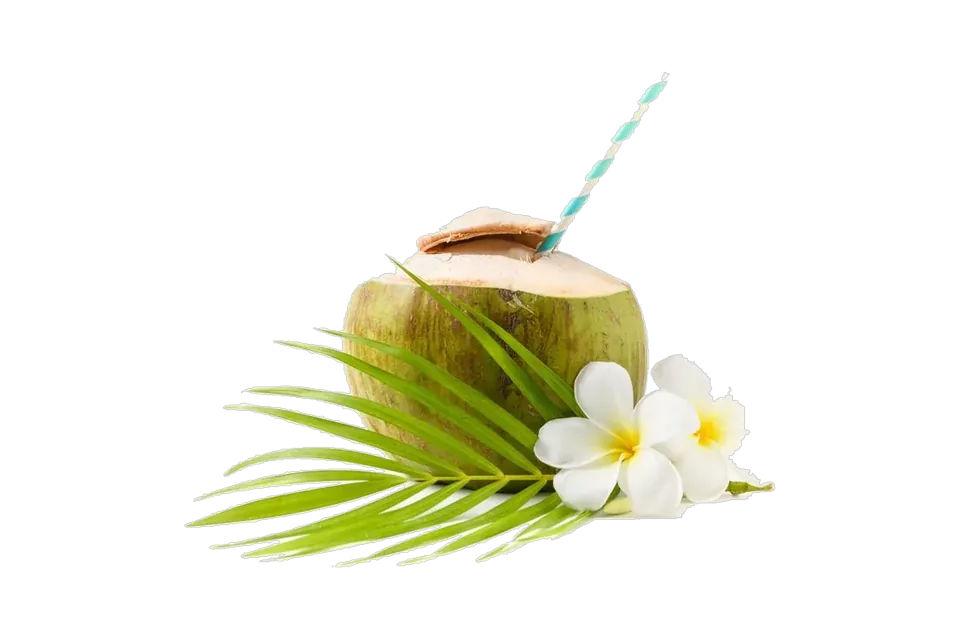 Coconut Water