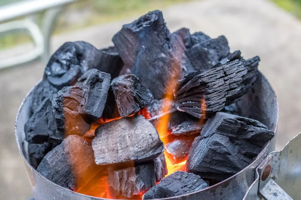Lump Charcoal (Hardwood)